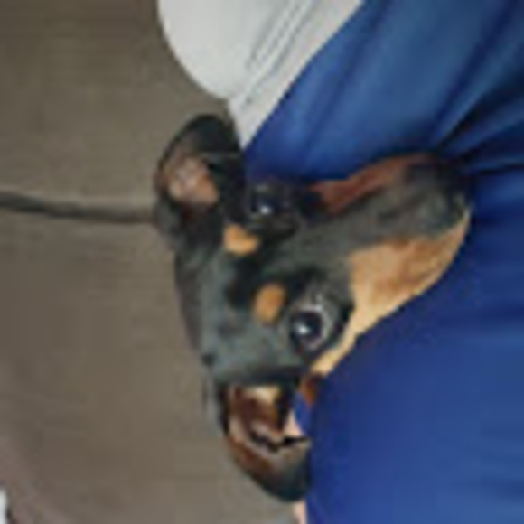 Meet your Posher, Simon - Picture 1 of 1